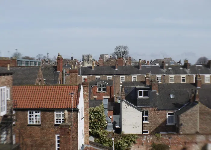 Mcmillan House Studio York